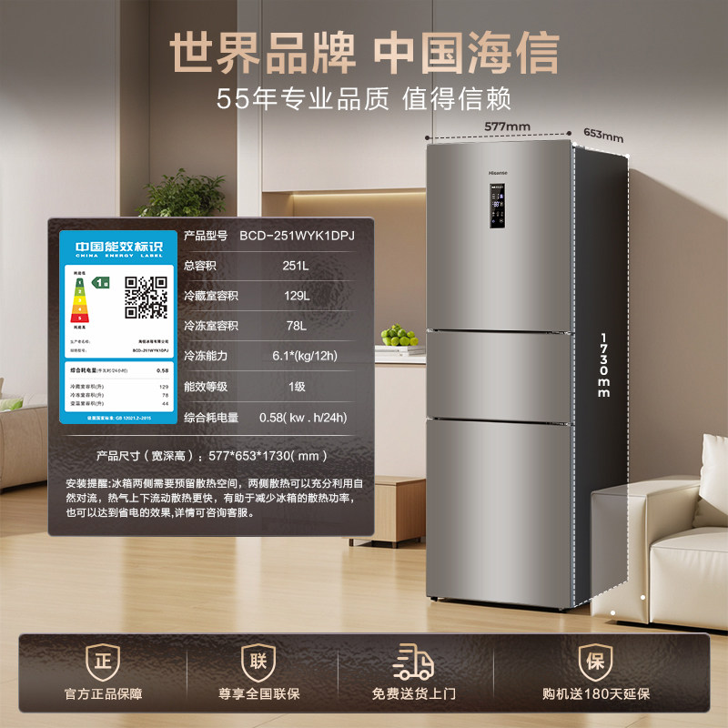 海信BCD-251WYK1DPJ冰箱图片