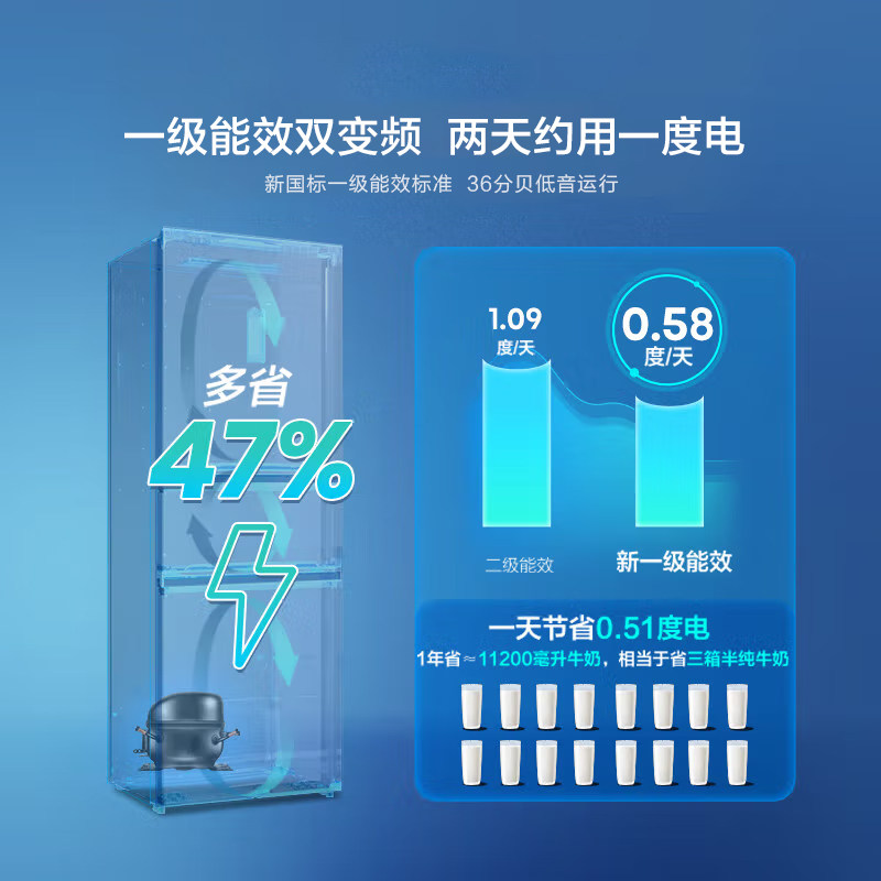 海信BCD-251WYK1DPJ冰箱图片