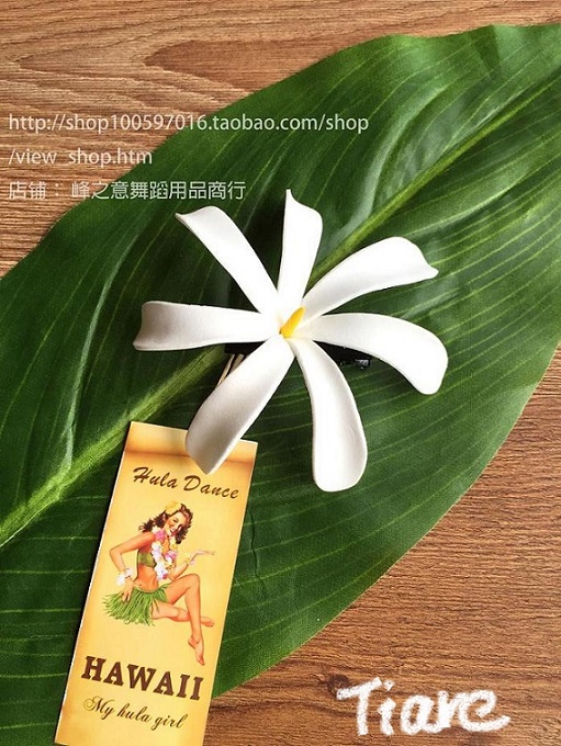 Hawaiian Hula Costume AccessoriesHeadwearBeach Hair AccessoriesHair Accessories
