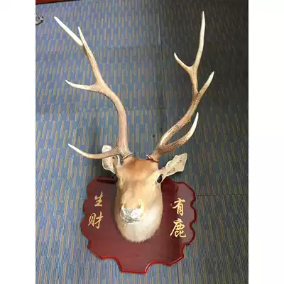 Genuine European style wall-mounted deer head Red Deer deer head decorative head fireplace long neck red deer head fireplace hanging living room decorations