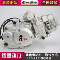 Longxin power motorcycle tricycle horizontal 120 125 boiling water-cooled engine assembly nose