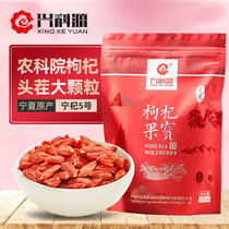 Institute of Agricultural Sciences Wolfberry Xingke Yuan Guo Baoning Goji No 5 250g Ningxia specialty stubble large particle bag