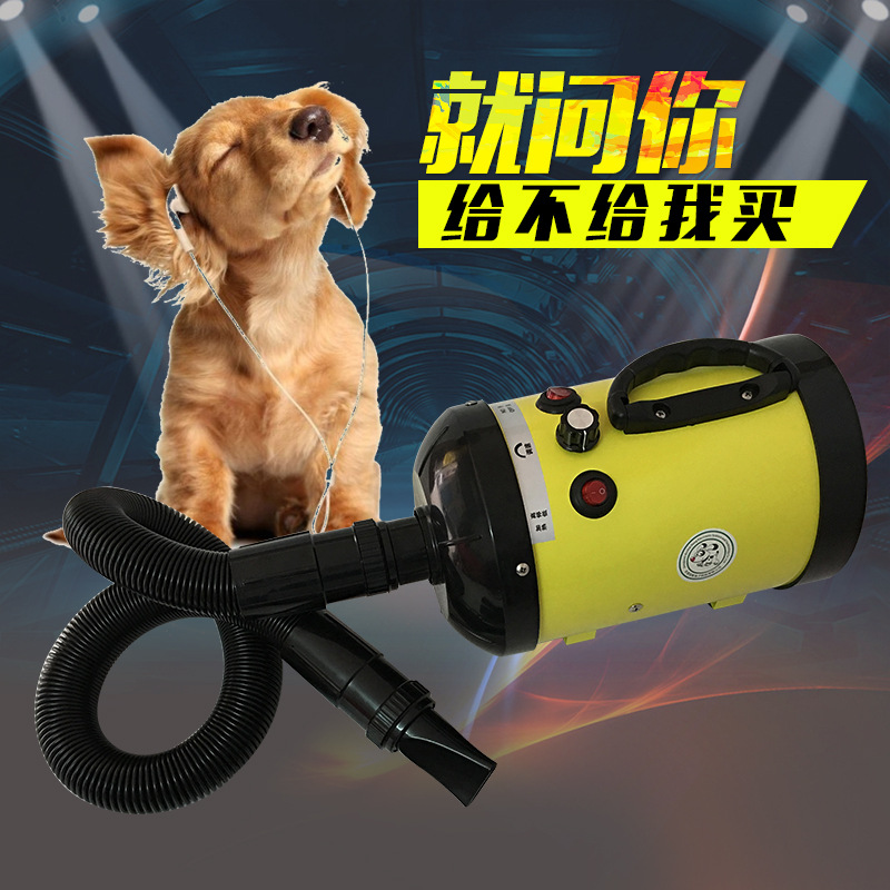 2800W ultra-strong water blowing machine pet supplies Puppy blower blow water machine (SH-168)