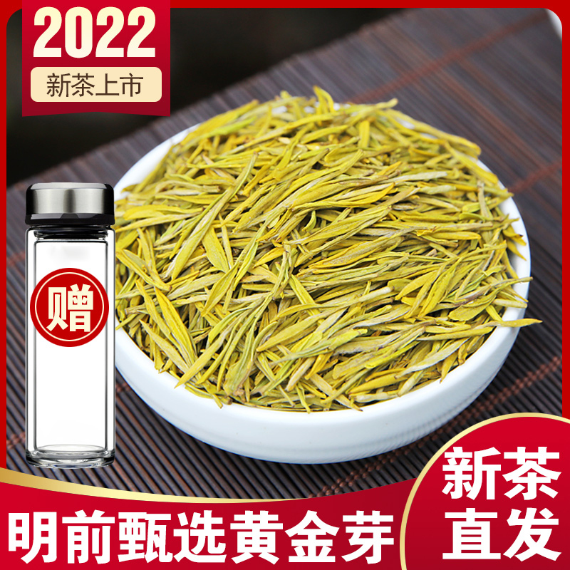 Authentic Anji Golden Bud Tea 2022 New Tea Mingqian Premium Spring Tea Alpine Green Tea Bulk 250g Gift Box