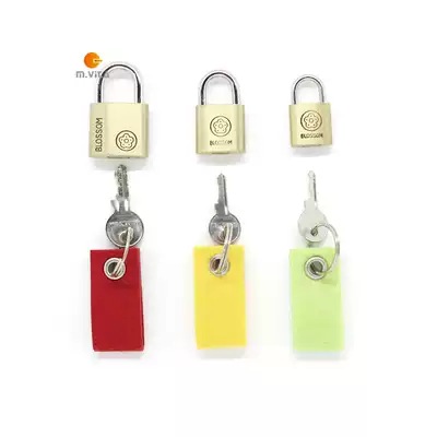 Montessori teaching aids Montessori teaching aids lock and key work without tray unlocking copper lock