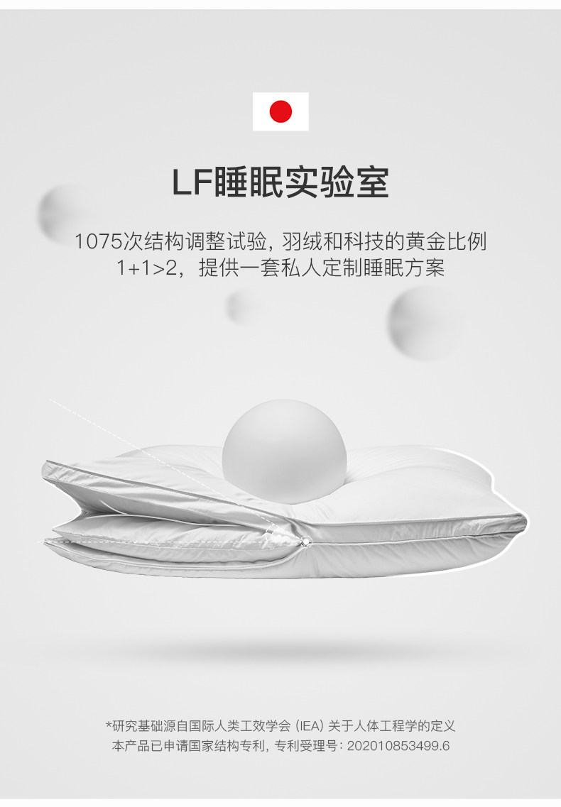 790_02.jpg