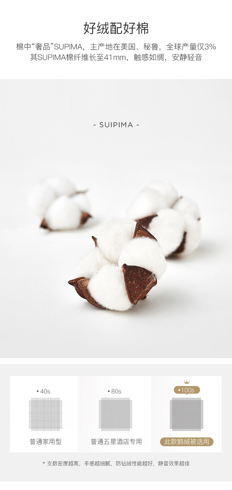 100-х годов Goose Down-new_14.jpg