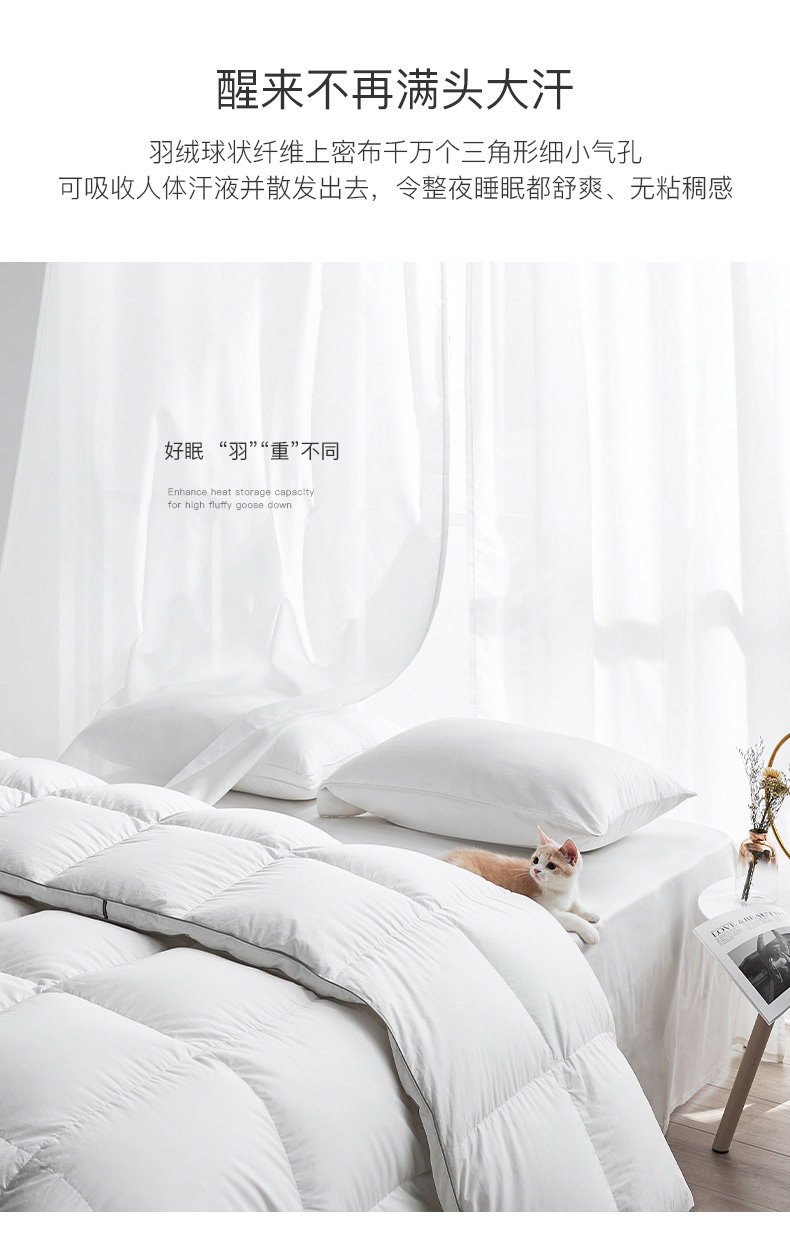 100-х годов Goose Down-new_11.jpg