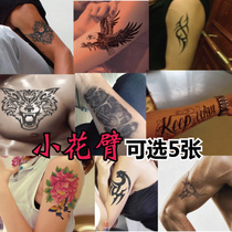 Arm Floral Arm Tattoo Patch Waterproof Skeletons Old Eagle Tattoo Sticker Tiger Wolf Leopard Rose Fish Scorpion Bat 1 set 5 sheets