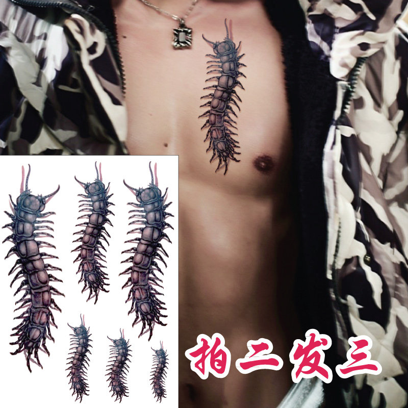 3D stereoscopic shading wrist flower arm florin leg arms long centipedes Wu 4-day Dragon Palaotat tattooed with waterproof X055