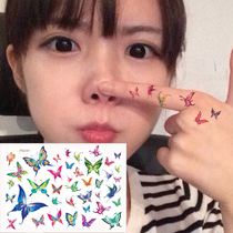 Painted finger eye corner arm neck 40 picture small butterfly tattooed with female anti-persistent P093