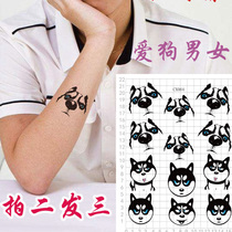 Fun arm bracelet back pet animal tattooed with two khalasergey dog tattooed stickup waterproof persistent CX064