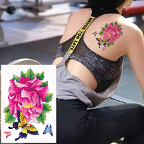 Body Sexy Fashion Neck Flower Arm Big Picture Flowers Butterfly Rose Tattoo Patch Waterproof Girl P095