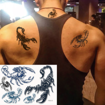 Solid 3D Human Body Sexy Personality Arm Flower Arm Neck Green Black Poison Scorpion Tattoo Sticker waterproof male and female P115