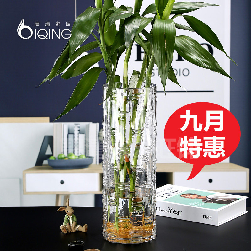 Vase glass large landing desktop furnished water cultivated bamboo straight bamboo water maintenance living room Simple home