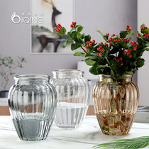 Color transparent Fat tummy glass vase Idea fresh European-style desktop Living room with flowers Water Bamboo Home