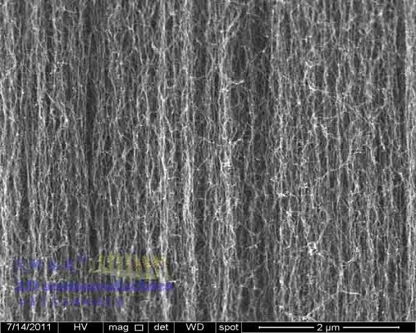多壁碳纳米管阵列碳纳米管薄膜