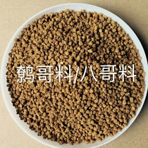 Xiao Four Bird Eating Dispensers Recommend Boutique 8 Gothic Birds Eating the Birds Food of the Gothic Feed Bird Food Nutrition Full 500g Three kilos