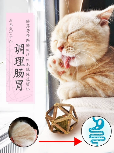 Му -тианья кошачья монетный леденец леденцо