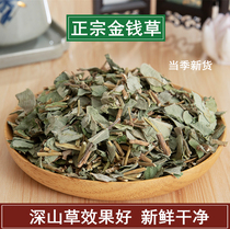  Chinese Herbal medicine Wild money grass Guang Money Grass Tea Chinese Herbal medicine Big leaf money grass New goods 500g grams