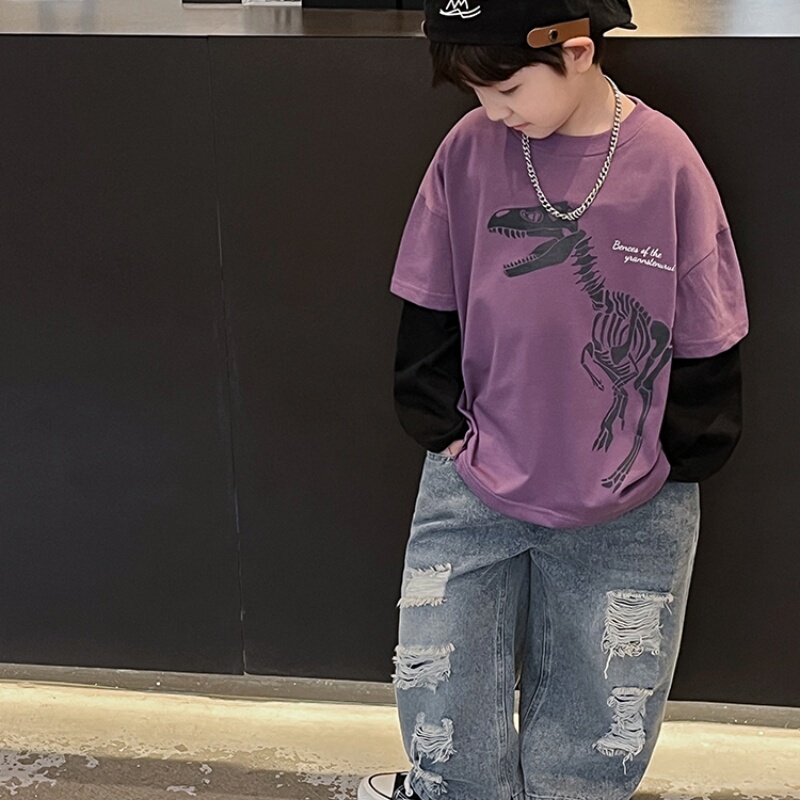 Boys' Cartoon Dinosaur Fake Two-Piece Long-Sleeve T-Shirt, New Spring and Autumn Style, Medium and Large Children's Pure Cotton Trendy Cool and Handsome Base Shirt Boys' Cartoon Dinosaur Fake Two-Piece Long-Sleeve T-Shirt, New Spring and Autumn Style, Medium and Large Children's Pure Cotton Trendy Cool and Handsome Base Shirt