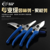 Cutting scissors horticultural scissors branches pruning shears flower scissors garden labor-saving floral tools Fruit tree pruning rough shears