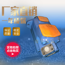 Vane pump 2520VQ 3520V 4520V 4525V 4535V Injection molding machine die-casting oil pump