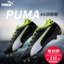 PUMA PUMA evoTOUCH-3-AG giày cỏ nhân tạo giày bóng đá nam 103753-01 giày thể thao nike nam