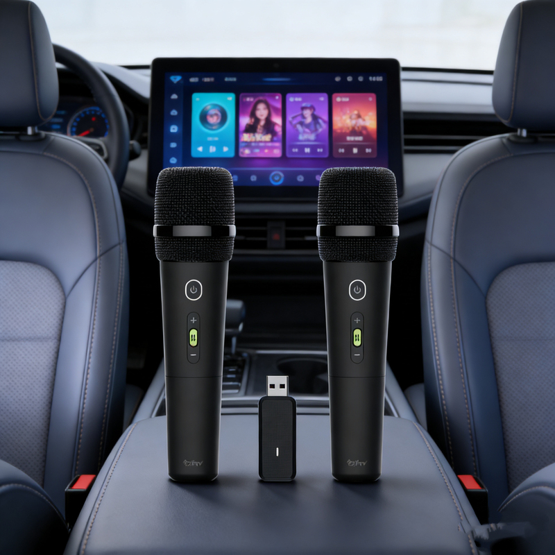 Leishi Ktv Is Suitable for Nezha Car Models L/S/U/X/Gt/Aya Car-Mounted Karaoke Microphone Wireless USB Microphone