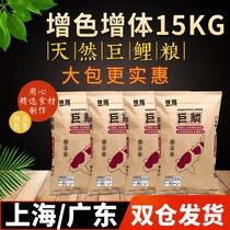 Receive coupons from multiple provinces to breed Shenyang giant scales increase body size color Yang low water temperature koi feed Shenyang bacteria 15kg