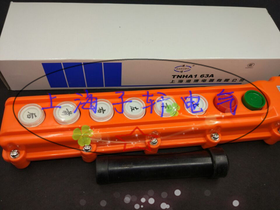 Shanghai Hong Kong Bo COB TNHA1-63A rain-proof crane driving control button electric crane switch