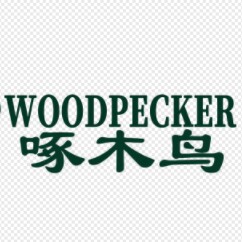 啄木鸟皮鞋店