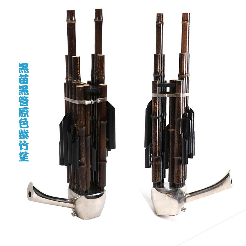 Nhạc cụ 14 lò xo khuếch đại loại 笙 Nhạc cụ gió quốc gia gỗ hồng mộc 笙 chân nhà máy tre tím - Nhạc cụ dân tộc mua cổ cầm