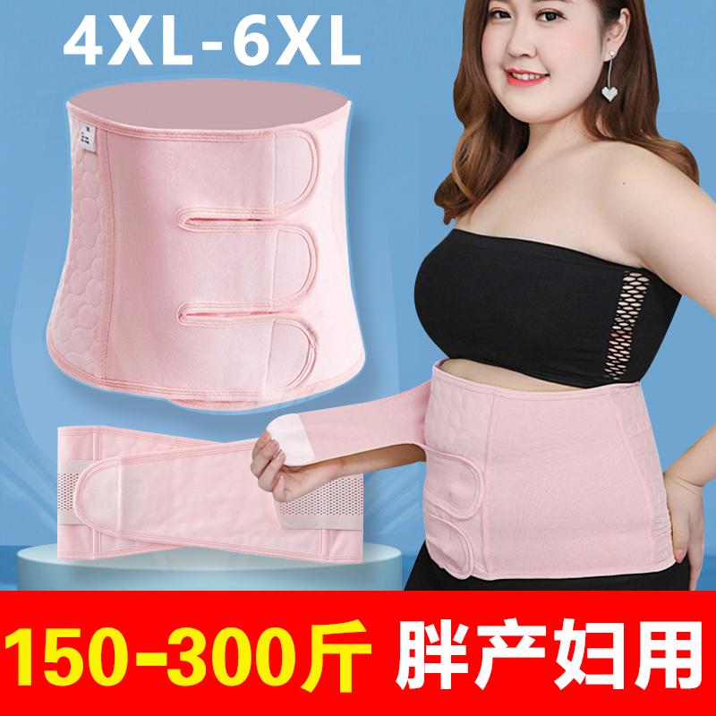 200-230-300 catches of large size beambellied with postpartum special pregnant woman Caesarean birth cispartum prolific and fat maternal bunches