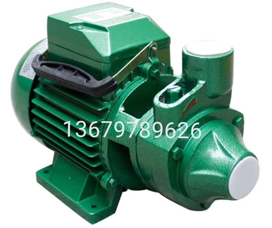 Guangzhou Yi Pump 1DB-45 clean water pump household booster pump 550W Guangzhou Yi Pump 1DB-65 three-phase circulating pressure pump