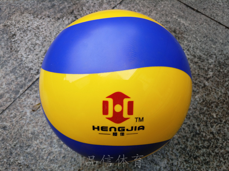 Ballon de volley - Ref 2007914 Image 12