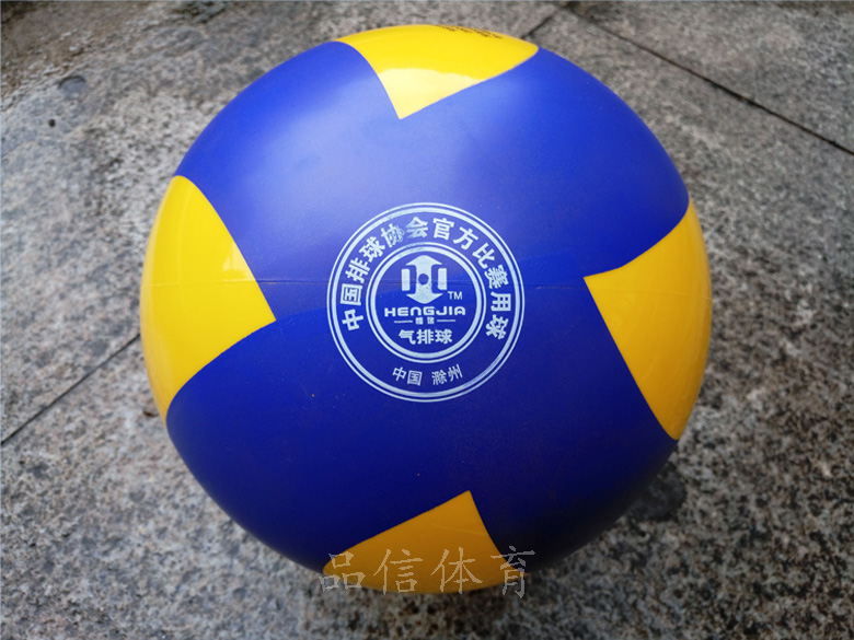 Ballon de volley - Ref 2007914 Image 14