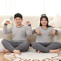 [Fat Boy Boybear] Grey Sports Bear [Order]