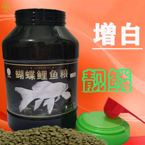 Taiwan platinum dragon and phoenix butterfly carp special feed Koi goldfish ornamental fish increase body whitening does not muddy water
