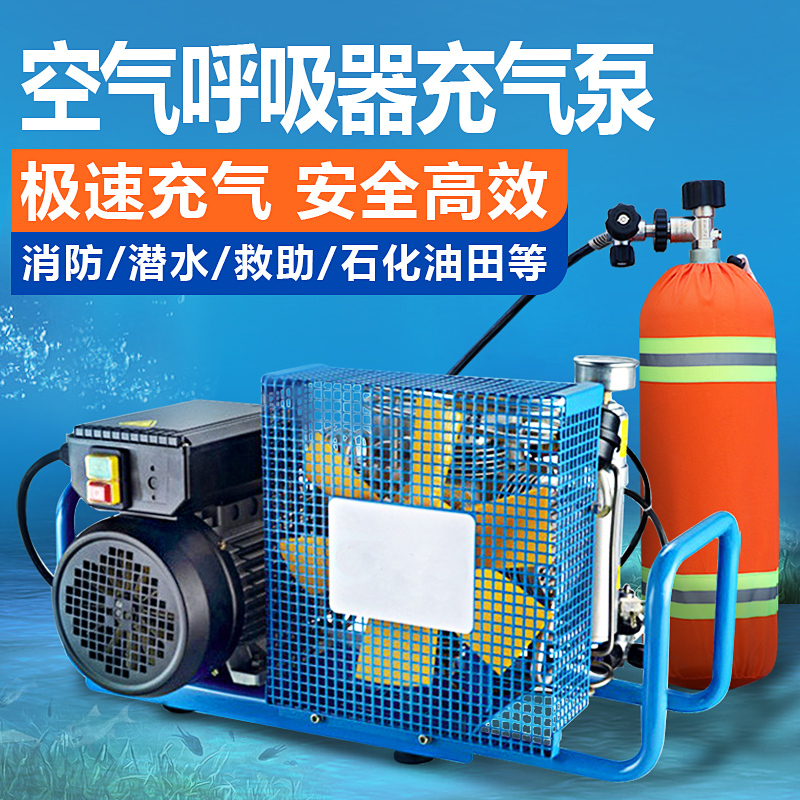 Fire Air Respirator Air Pump Positive Pressure Compressor Submersible 30Mpa Air Pump High Pressure Air Pump Cylinder