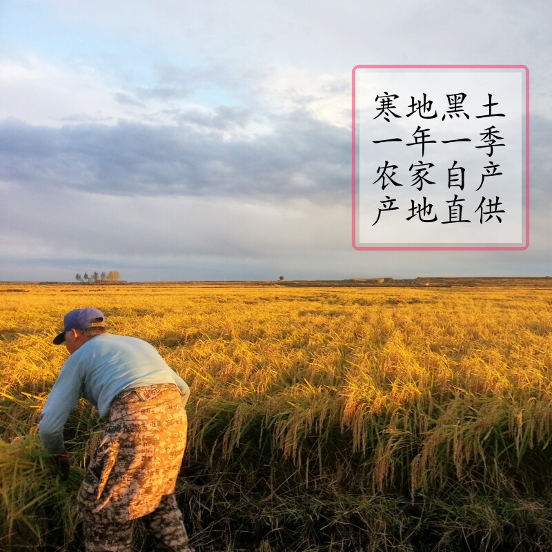 鼎泰农家店