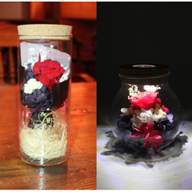 With light Xu may bottle LED small night light Young flowers with lamp glass bottle moss microscape Ecological Wood Stopper Stars Bottle