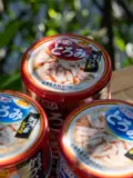 Японские импортированные кошачьи консервированные закуски кошачьи