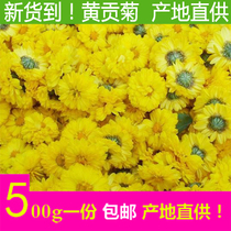 Chrysanthemum tea new 500g Super Huangshan tribute chrysanthemum tea yellow tribute chrysanthemum