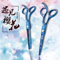 Hairdresser hairdresser professional haircut scissors household set flat teeth scissors thin hair cut