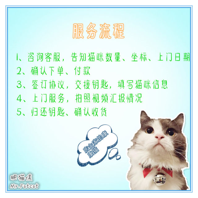 Fat Cat Man's door-to-door feeding service Beijing city door-to-door feeding cat pet custody service