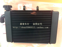 Accessories Little Huanglong BJ300GS BN302 TNT water tank radiator water cooler fan