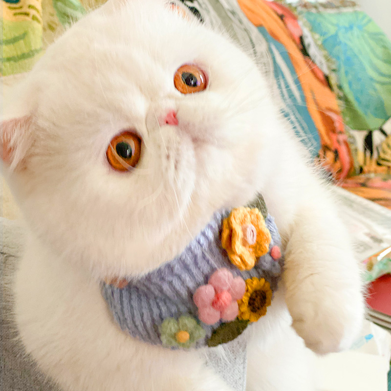 Pet cat dog small dog bib triangular towel handmade small bib bib bib scarf cute princess