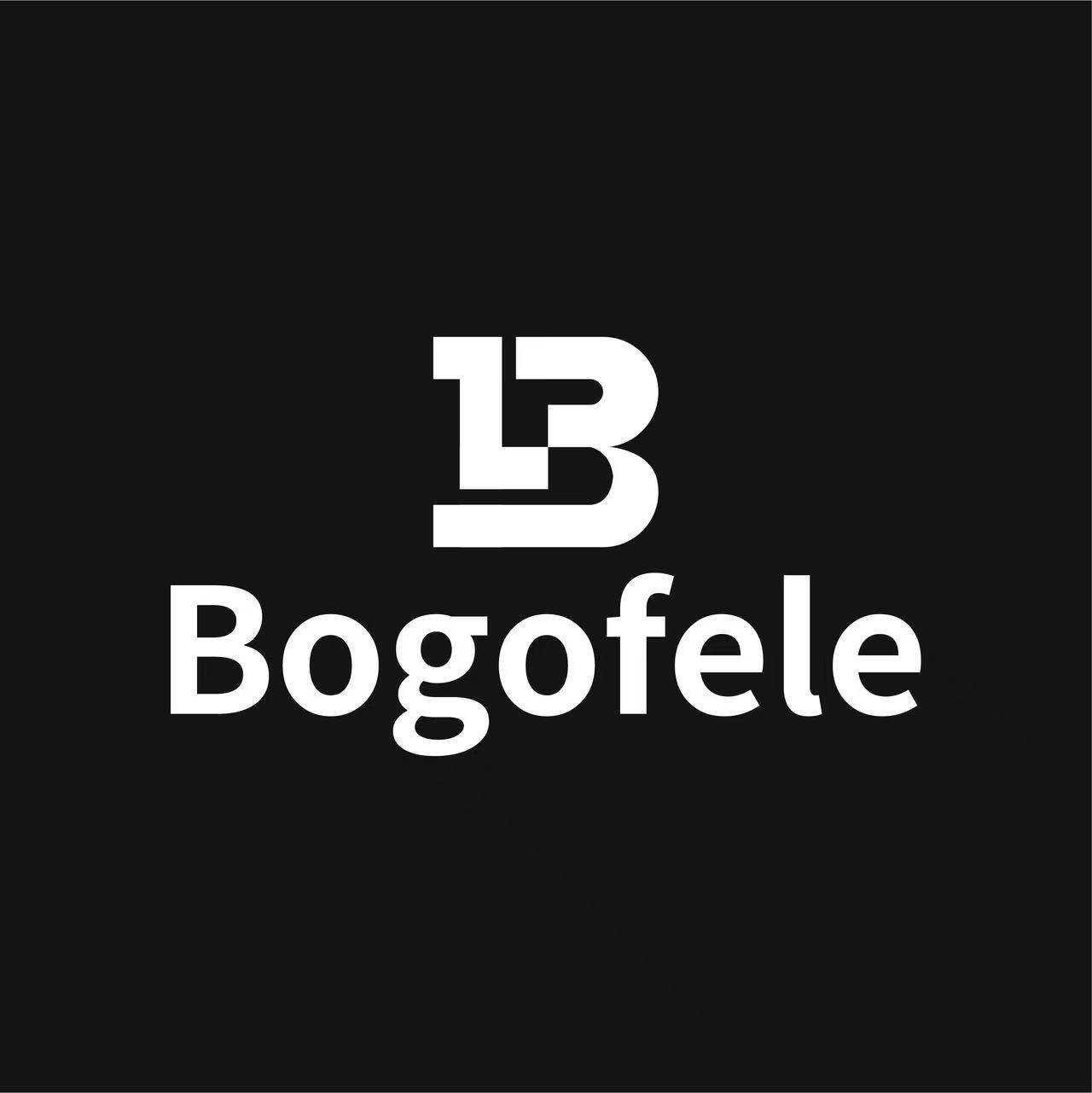 博格菲勒Bogofele厨具企业店