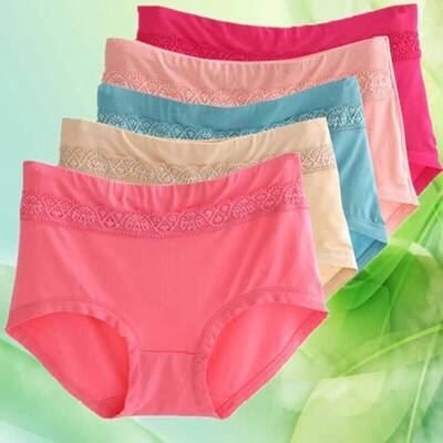 正品DK5条胖MM内裤女纯棉中高腰